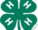 Hampshire County 4-H Fair