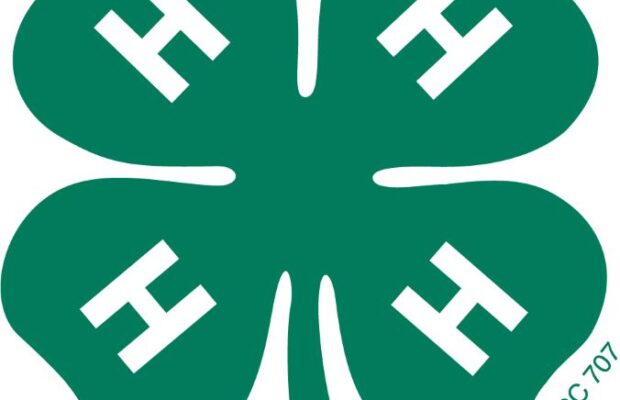 Hampshire County 4-H Fair
